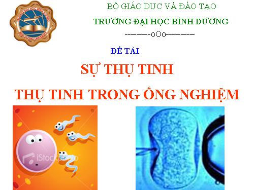 Thụ tinh và thụ tinh trong ống nghiệm