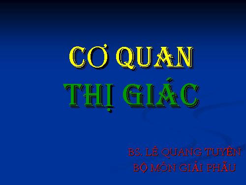 cơ quan thị giác