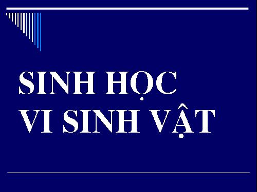 phan Vi Sinh vat hoc lop 10