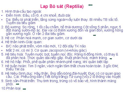 Lap Bò sát (Reptilia)