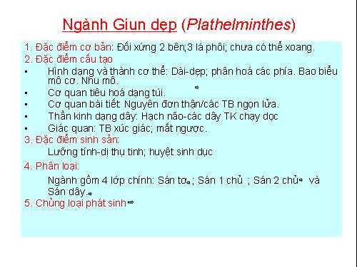 ngành giun dẹt