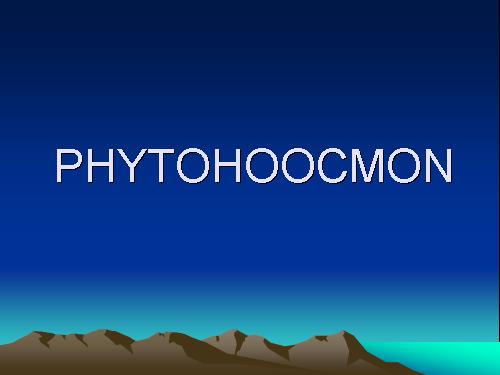 phytohoocmon (hooc môn thực vật)