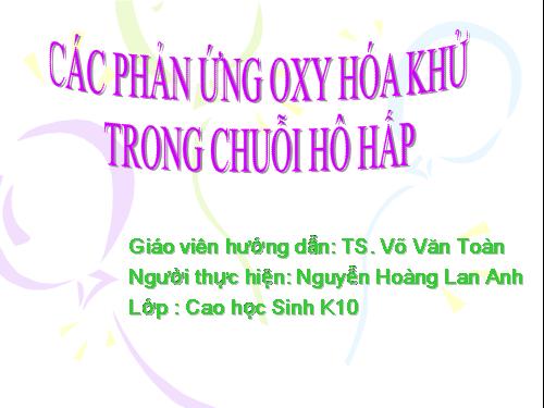 Nang luong sinh hoc