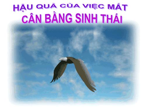 Hậu quả của việc mất cân bằng sinh thái