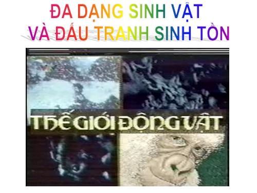 Đa dạng sinh vật và đấu tranh sinh tồn