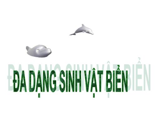 Đa dạng sinh vật biển