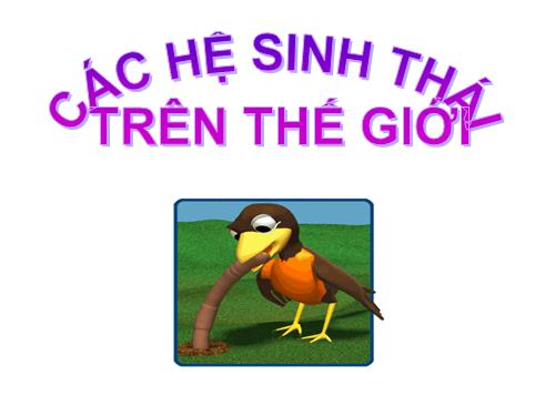 Các hệ sinh tháo trên thế giới