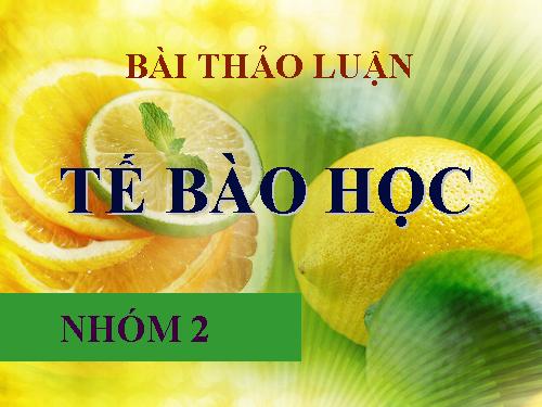 đường đơn và vai trò của chúng trong tế bào