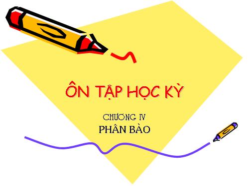 on tap phan phan bao