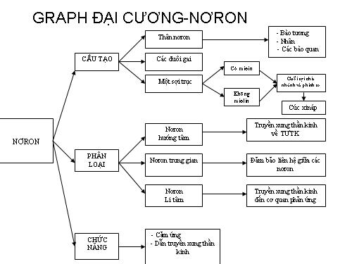 Bài 6: Tế BÀi Thần kinh