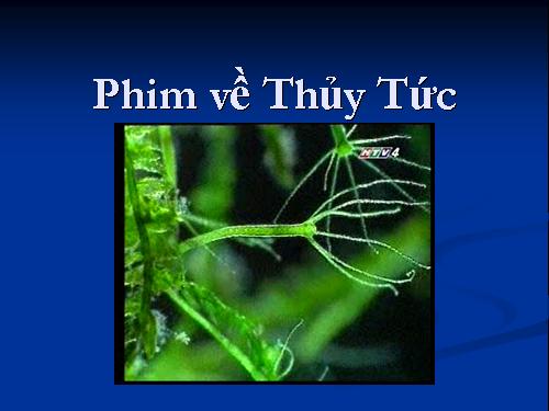 Phim Thuy Tuc