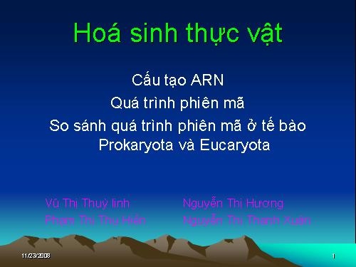 cấu tạo ADN và ARN