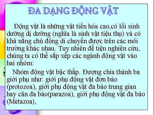 đa dạng động vật