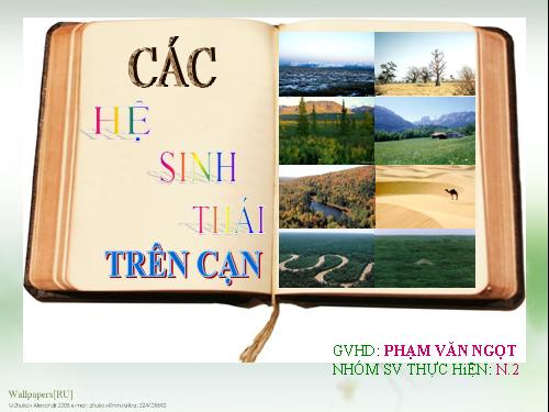 Các hệ sinh thái trên cạn