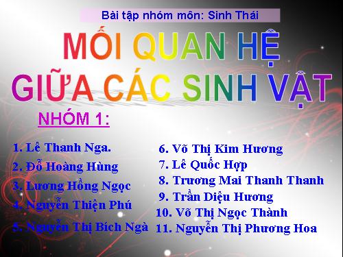 Mối quan hệ giữa các sinh vật