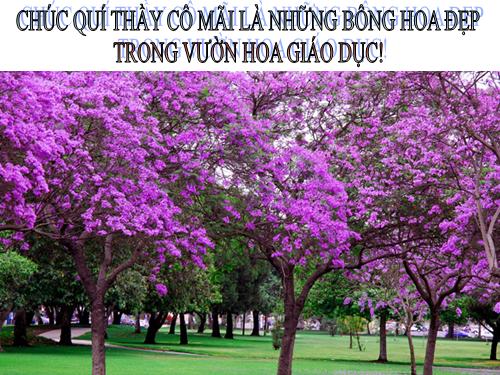 MỪNG 20.11