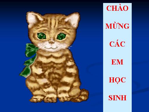 CAC NHAN TO CHI PHOI