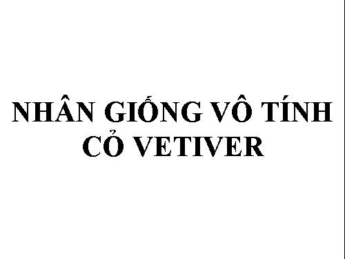 nhân giống vô tính cỏ Vetiver