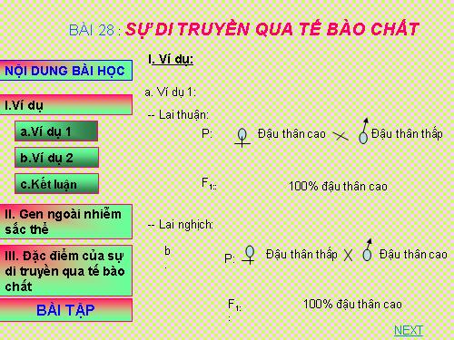 DI truyen qua te bao chat