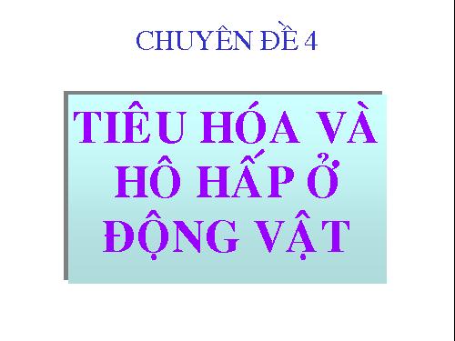 TIÊU HÓA Ở ĐỘNG VẬT NHAI LẠI