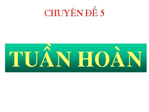 SỰ TIẾN HÓA CỦA HỄ TUẦN HOÀN