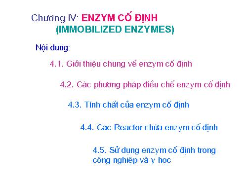 Chương IV Enzym Cố định