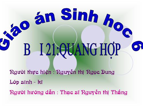 Quang Hop