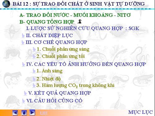 bai quang hop