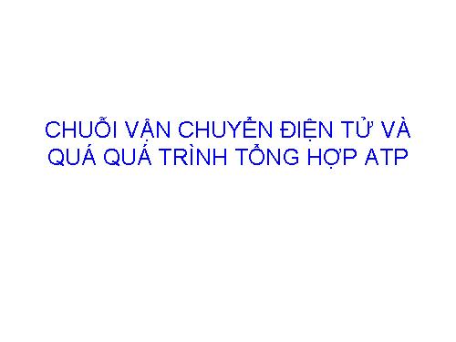 Van chuyen dien tu