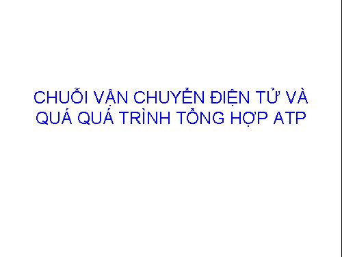 CHUOI VAN CHUYEN DIEN TU