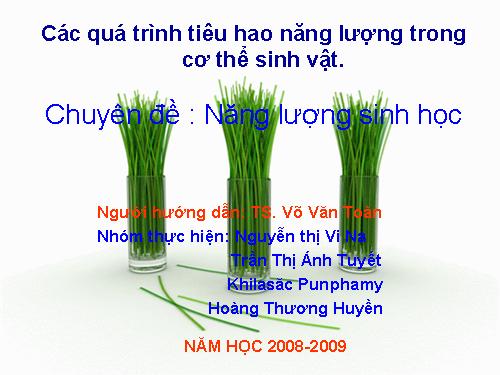 QUÁ TRÌNH SỬ DỤNG NĂNG LƯỢNG