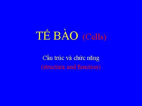 TẾ BÀO HOC