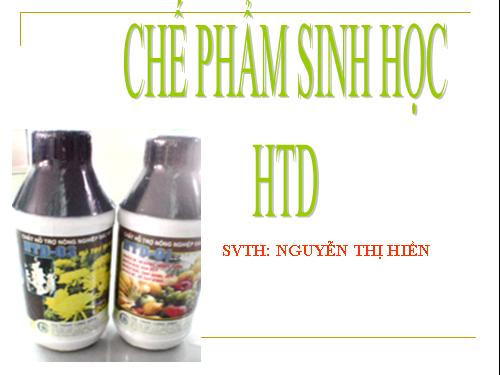 TLAM - Hiền