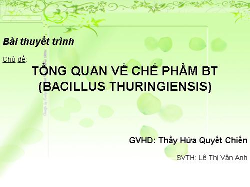 Chế phẩm BT