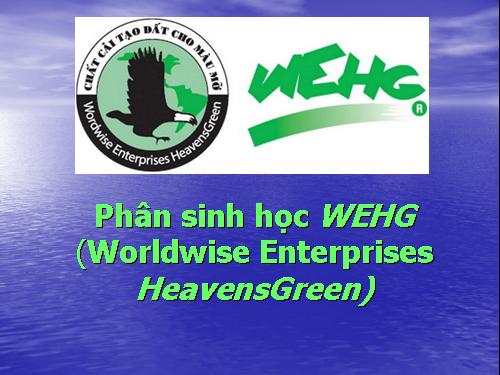 wehg