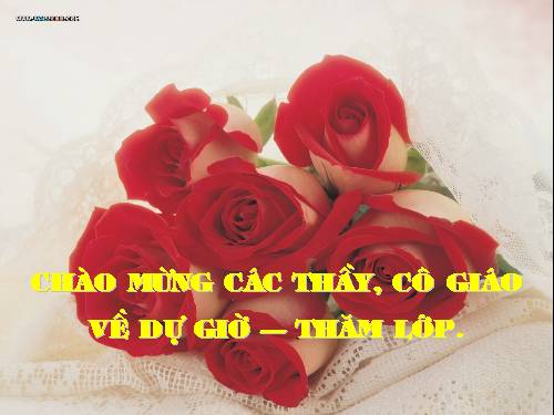 ho hap va cac co quan ho hap