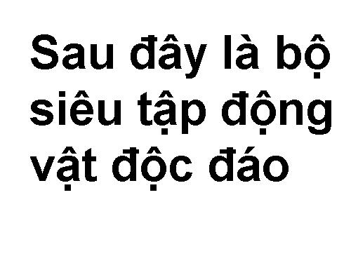 ảnh đẹp