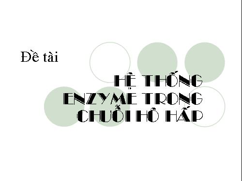 Hệ thống enzym trong TDC