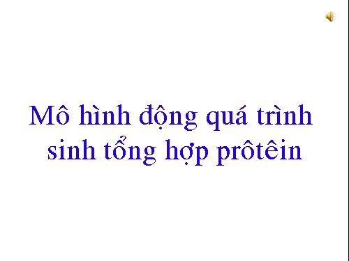 mo hinh dongtong hop protein trong te bao