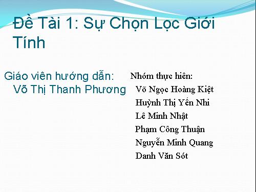 cho loc gioi tinh