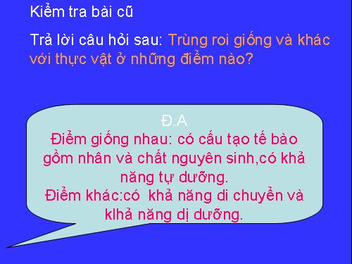 Tiet 5 : TRUNG BIEN HINH VA TRUNG GIAY