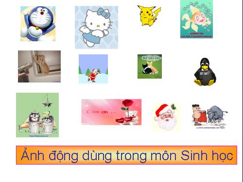 Ảnh động dùng trong soạn GA tiện lợi