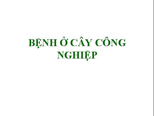 XÂY DỰNG BG CN7