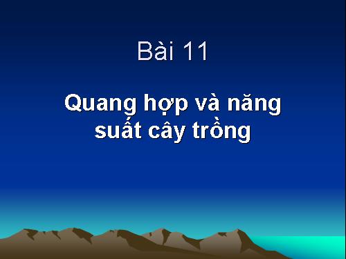 Quang hợp và năng xuất cây trồng