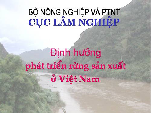 Quy hoạch rừng