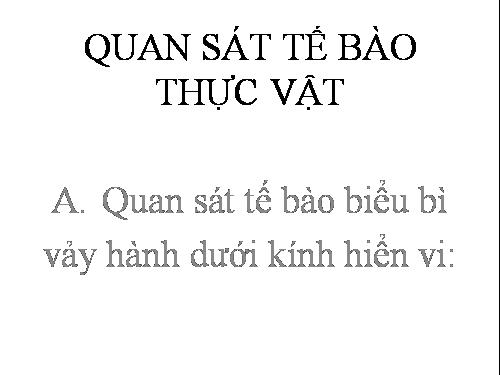 bài 6 QUAN SÁT TẾ BÀO THỰC VẬT