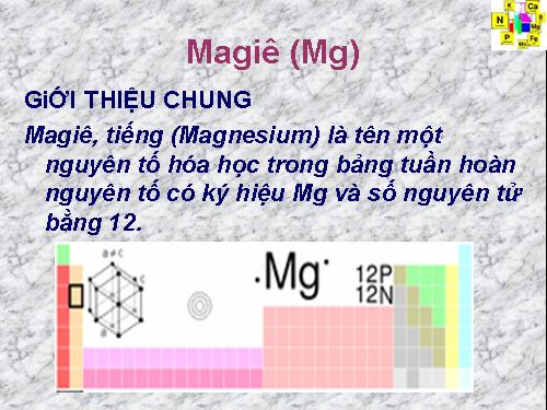 nguyên tố vi lượng - Magie