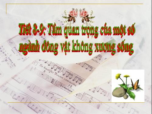 mo hinh sinh 7 (tam quan trọng của 1 số ngàng động vật không xương sống)