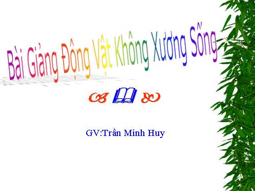 ĐỘNG VẬT KHÔNG XƯƠNG SỐNG