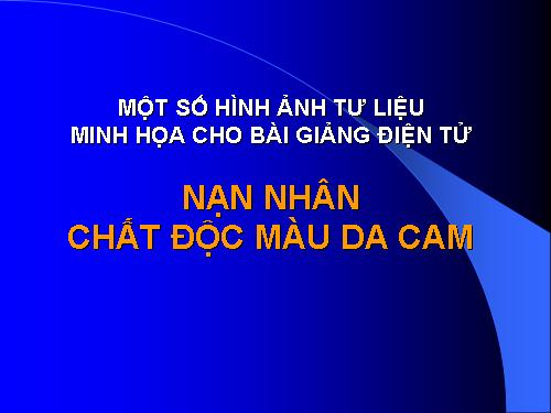 Nan nhan nhiem chat doc da cam